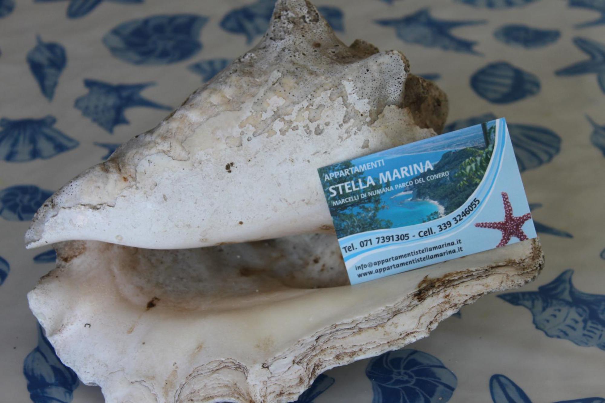 Appartamento Stella Marina Marcelli Ngoại thất bức ảnh